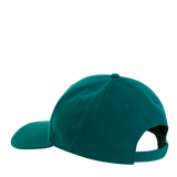 The North Face - Recycled 66 Classic Hat Caraway Seed unisex - Pacific Teal - vista alternativa 2