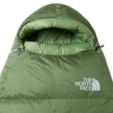 The North Face - Green Kazoo - FOREST SHADE/FOREST SHA - vista alternativa 1