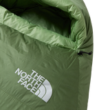 The North Face - Green Kazoo - FOREST SHADE/FOREST SHA - vista alternativa 2