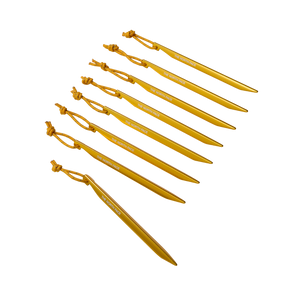 The North Face - V-stake M (8 Pack) - SUMMIT GOLD - vista principale