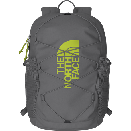 The North Face - Y Court Jester Smoked Pearl/Sport Moss - NICKGREY/COBALT - vista alternativa 12
