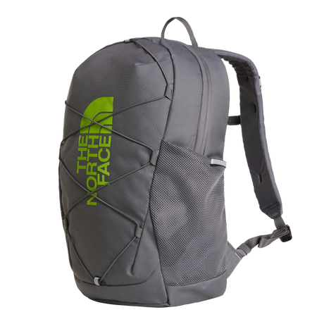 The North Face - Y Court Jester Smoked Pearl/Sport Moss - NICKGREY/COBALT - vista alternativa 3