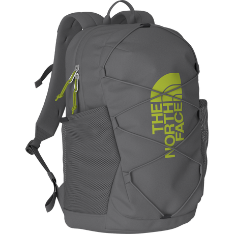The North Face - Y Court Jester Smoked Pearl/Sport Moss - NICKGREY/COBALT - vista principale