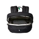 The North Face - Y Court Jester Smoked Pearl/Sport Moss - TNF BLACK - vista alternativa 3