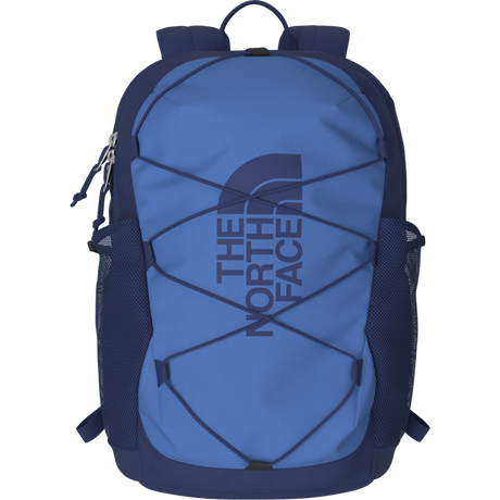 The North Face - Y Court Jester Smoked Pearl/Sport Moss - ACTIVE BLUE/BOLD BLUE - vista alternativa 12