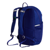 The North Face - Y Court Jester Smoked Pearl/Sport Moss - ACTIVE BLUE/BOLD BLUE - vista alternativa 2