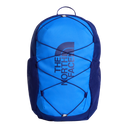 The North Face - Y Court Jester Smoked Pearl/Sport Moss - Blue - vista principale