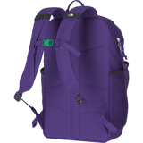 The North Face - Y Court Jester Smoked Pearl/Sport Moss - SLVRMKBN/DMTSBN - vista alternativa 11