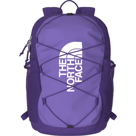 The North Face - Y Court Jester Smoked Pearl/Sport Moss - SLVRMKBN/DMTSBN - vista alternativa 12