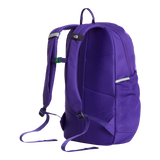 The North Face - Y Court Jester Smoked Pearl/Sport Moss - SLVRMKBN/DMTSBN - vista alternativa 2