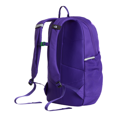 The North Face - Y Court Jester Smoked Pearl/Sport Moss - SLVRMKBN/DMTSBN - vista alternativa 2