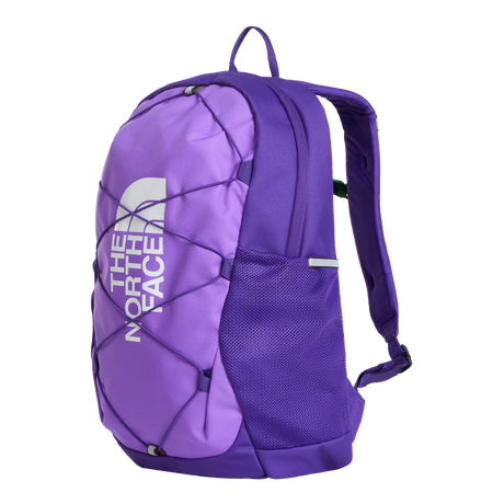 The North Face - Y Court Jester Smoked Pearl/Sport Moss - SLVRMKBN/DMTSBN - vista alternativa 3