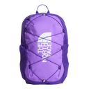 The North Face - Y Court Jester Smoked Pearl/Sport Moss - Purple - vista principale