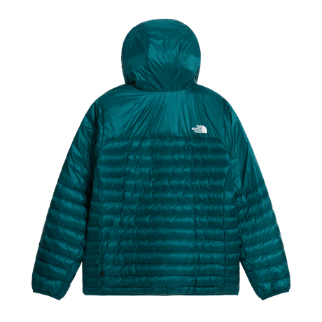 The North Face - Terra Peak Hoodie da uomo - Pacific Teal/Restorativ - vista alternativa 1