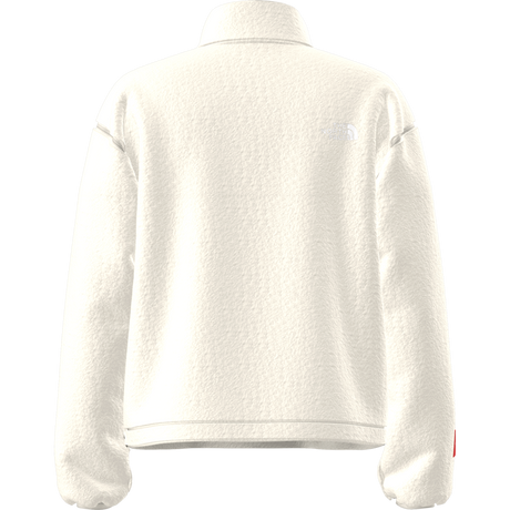 The North Face - Tnf Fleeski 1/4 Zip Po da donna - WHITE DUNE - vista alternativa 11