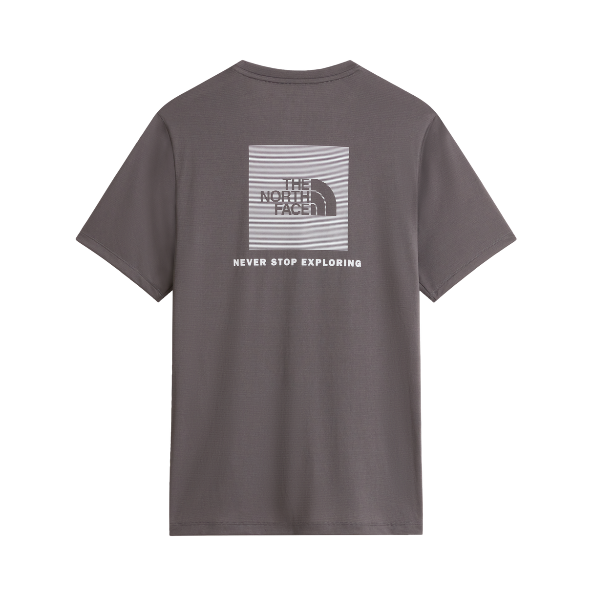 The North Face - 24/7 Box Nse Ss Tee da uomo - SMOKED PEARL - vista alternativa 1