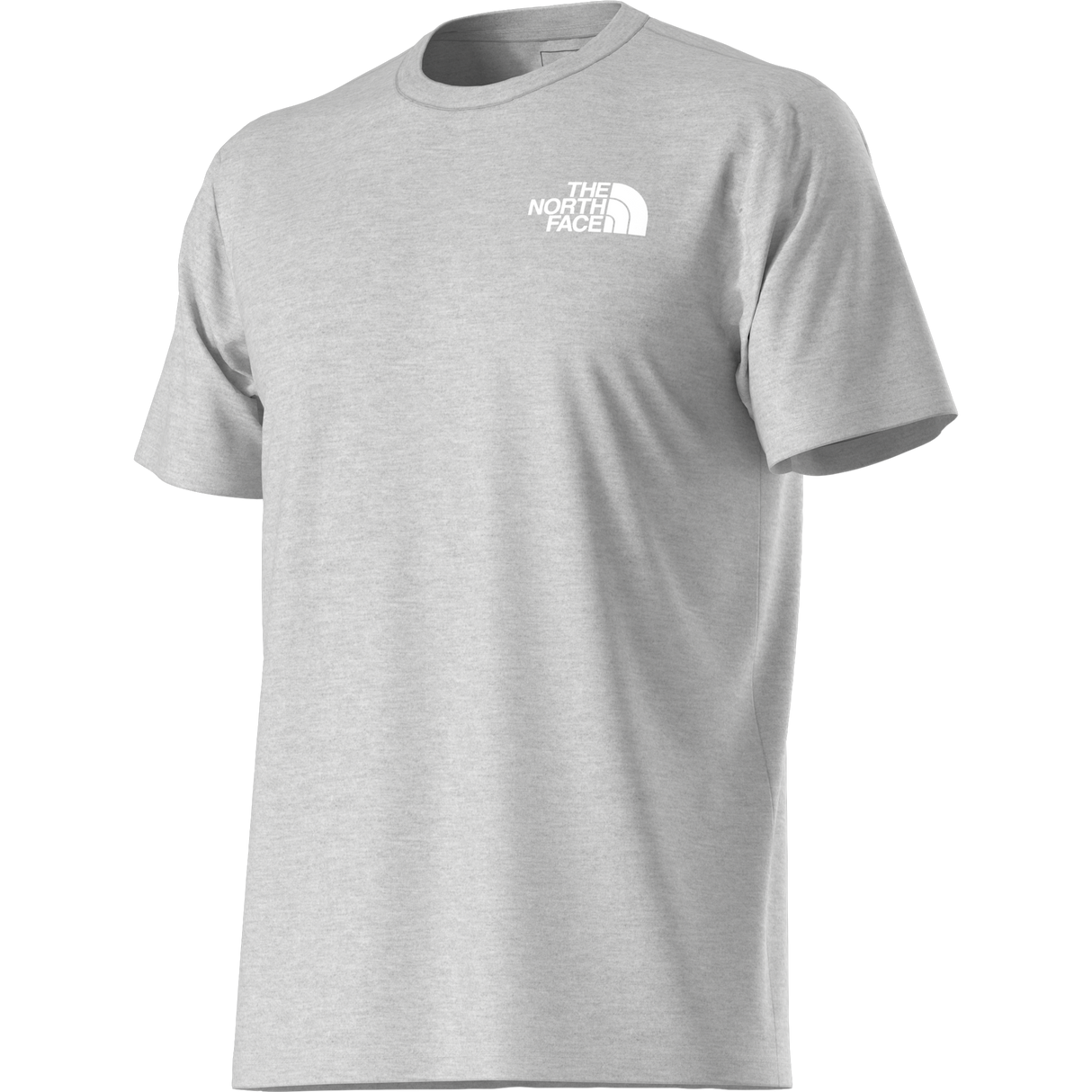 The North Face - Evolution Box Nse Regular Short Sleeve da uomo - TNF Pale Grey Heather - vista alternativa 12
