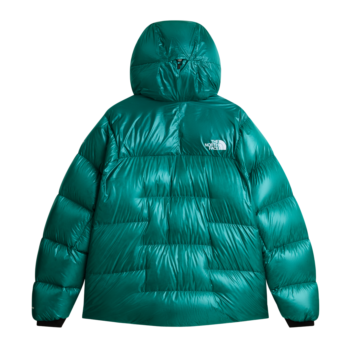The North Face - Summit Pumori Down Parka da uomo - Restorative Teal - vista alternativa 1