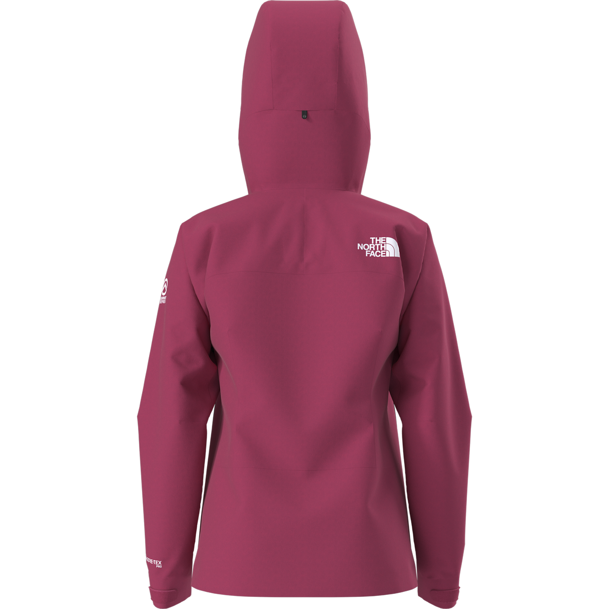 The North Face - Summit Cayesh Gtx Pro Jacket da donna - LALI GURAN - vista alternativa 11
