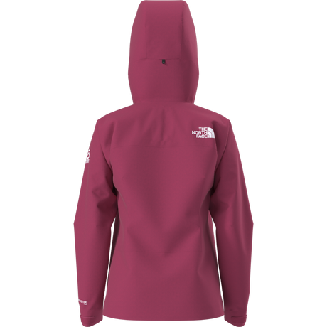 The North Face - Summit Cayesh Gtx Pro Jacket da donna - LALI GURAN - vista alternativa 11