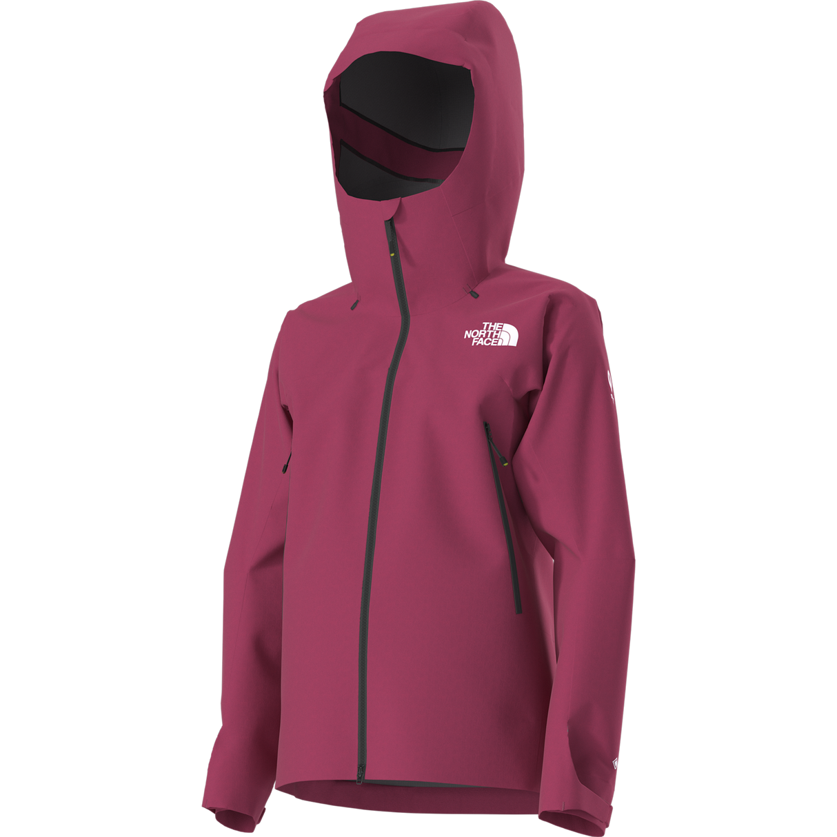 The North Face - Summit Cayesh Gtx Pro Jacket da donna - LALI GURAN - vista alternativa 12