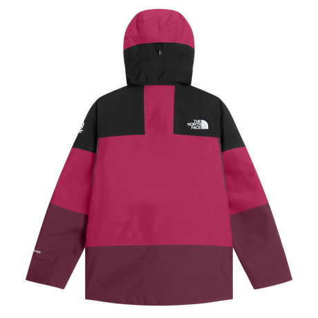 The North Face - Summit Verbier GTX Jacket Lali da donna - CPCNO/CTYNINBRN - vista alternativa 1