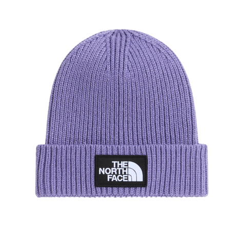 The North Face - Kids Tnf Logo Box Cuffed Beanie - URBNNVY/BRNZMST - vista principale
