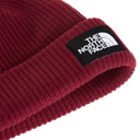 The North Face - Salty Lined Beanie unisex - Burgundy Crush - vista alternativa 2