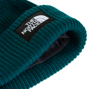 The North Face - Salty Lined Beanie unisex - Pacific Teal - vista alternativa 2
