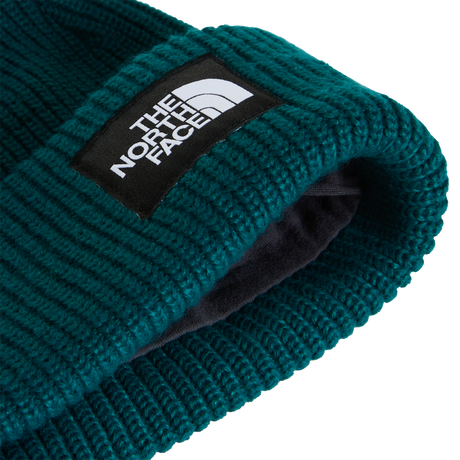 The North Face - Salty Lined Beanie unisex - Green - vista alternativa 2