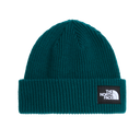 The North Face - Salty Lined Beanie unisex - Green - vista principale