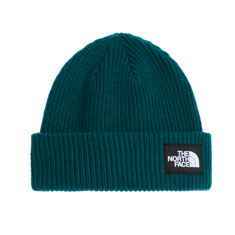 The North Face - Salty Lined Beanie unisex - Green - vista principale