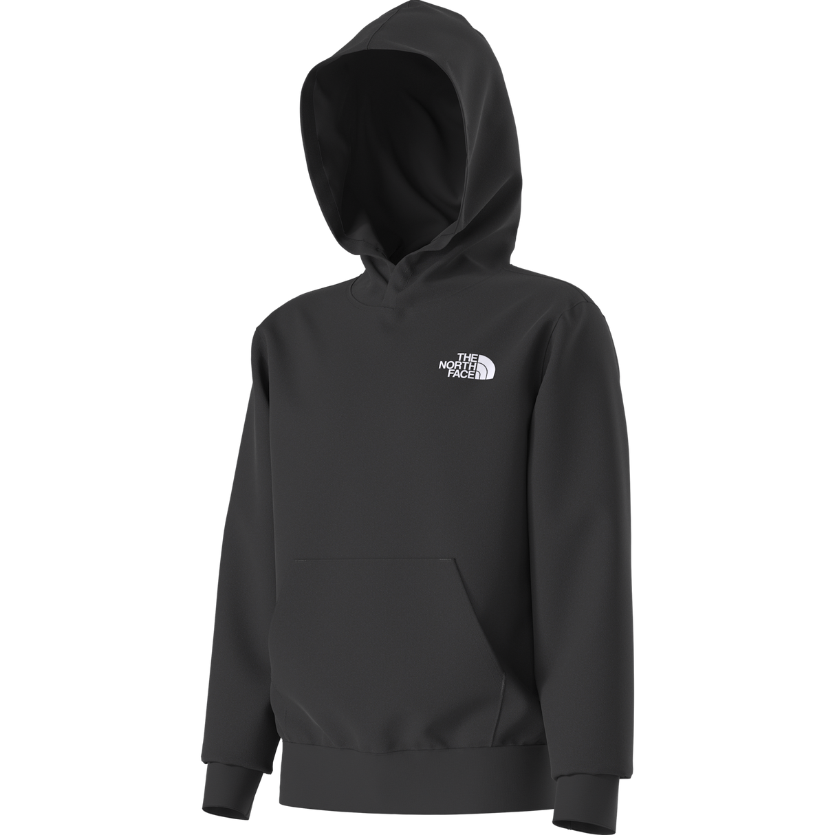 The North Face - Teen Evolution Box Nse Pullover Hoodie - TNF BLACK - vista alternativa 2