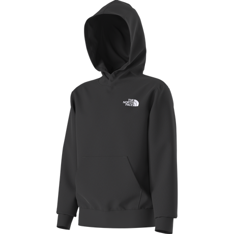 The North Face - Teen Evolution Box Nse Pullover Hoodie - BLACK - vista alternativa 2