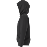 The North Face - Teen Evolution Box Nse Pullover Hoodie - TNF BLACK - vista alternativa 3