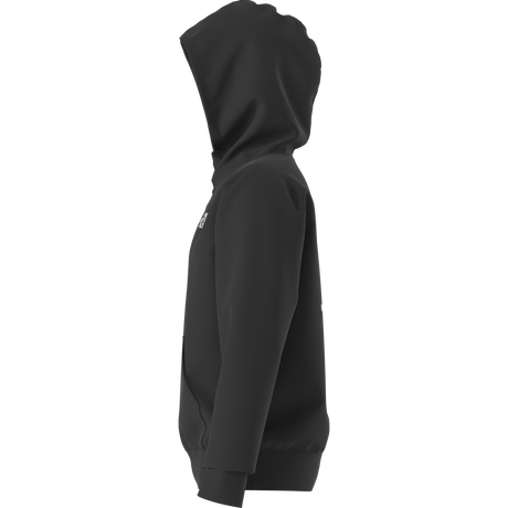 The North Face - Teen Evolution Box Nse Pullover Hoodie - BLACK - vista alternativa 3