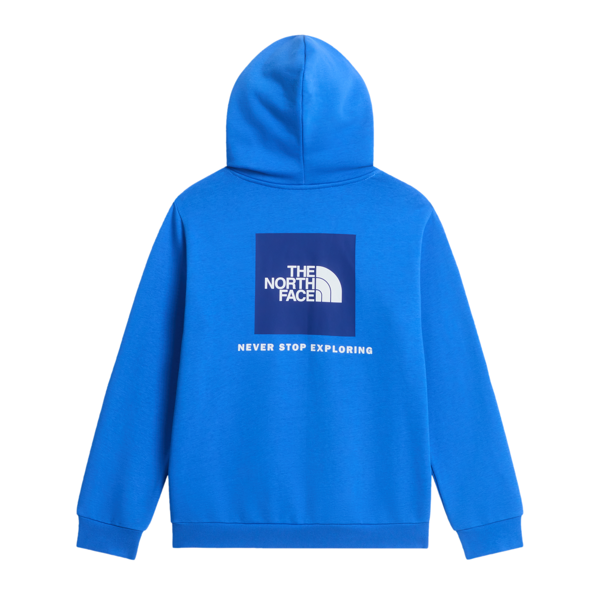 The North Face - Teen Evolution Box Nse Pullover Hoodie - SHDPGRTRD/MLNRD - vista alternativa 1