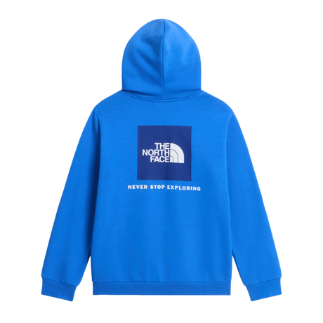 The North Face - Teen Evolution Box Nse Pullover Hoodie - Blue - vista alternativa 1