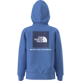 The North Face - Teen Evolution Box Nse Pullover Hoodie - SHDPGRTRD/MLNRD - vista alternativa 10