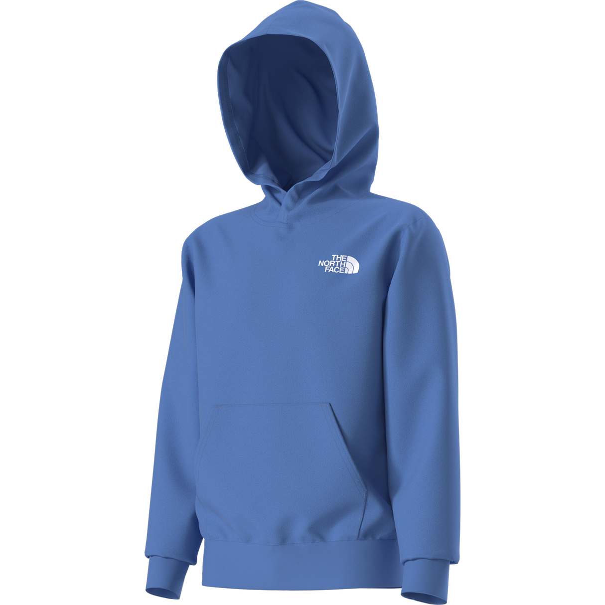 The North Face - Teen Evolution Box Nse Pullover Hoodie - SHDPGRTRD/MLNRD - vista alternativa 12