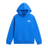 The North Face - Teen Evolution Box Nse Pullover Hoodie - SHDPGRTRD/MLNRD - vista principale