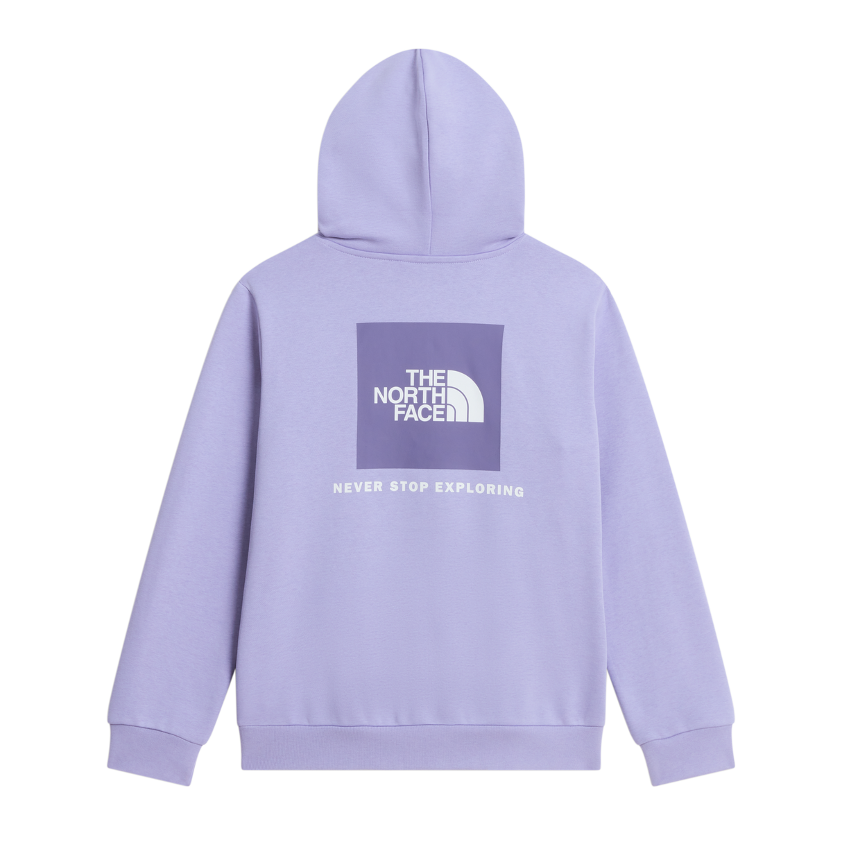 The North Face - Teen Evolution Box Nse Pullover Hoodie - Pale Plum - vista alternativa 1