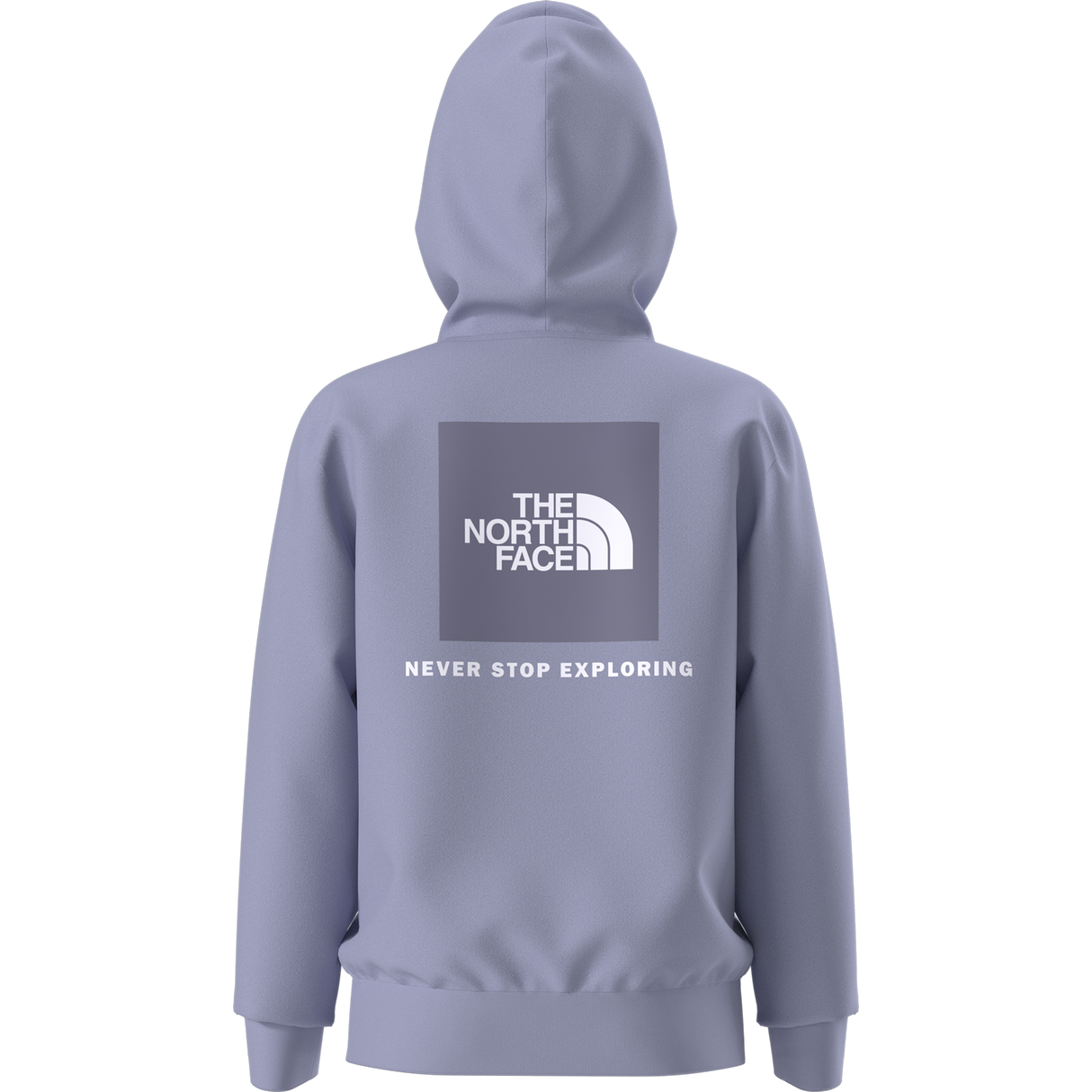 The North Face - Teen Evolution Box Nse Pullover Hoodie - Pale Plum - vista alternativa 10