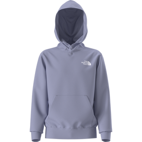 The North Face - Teen Evolution Box Nse Pullover Hoodie - Pale Plum - vista alternativa 11