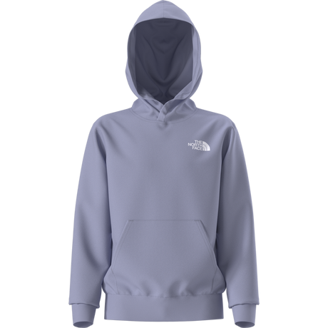 The North Face - Teen Evolution Box Nse Pullover Hoodie - Purple - vista alternativa 11