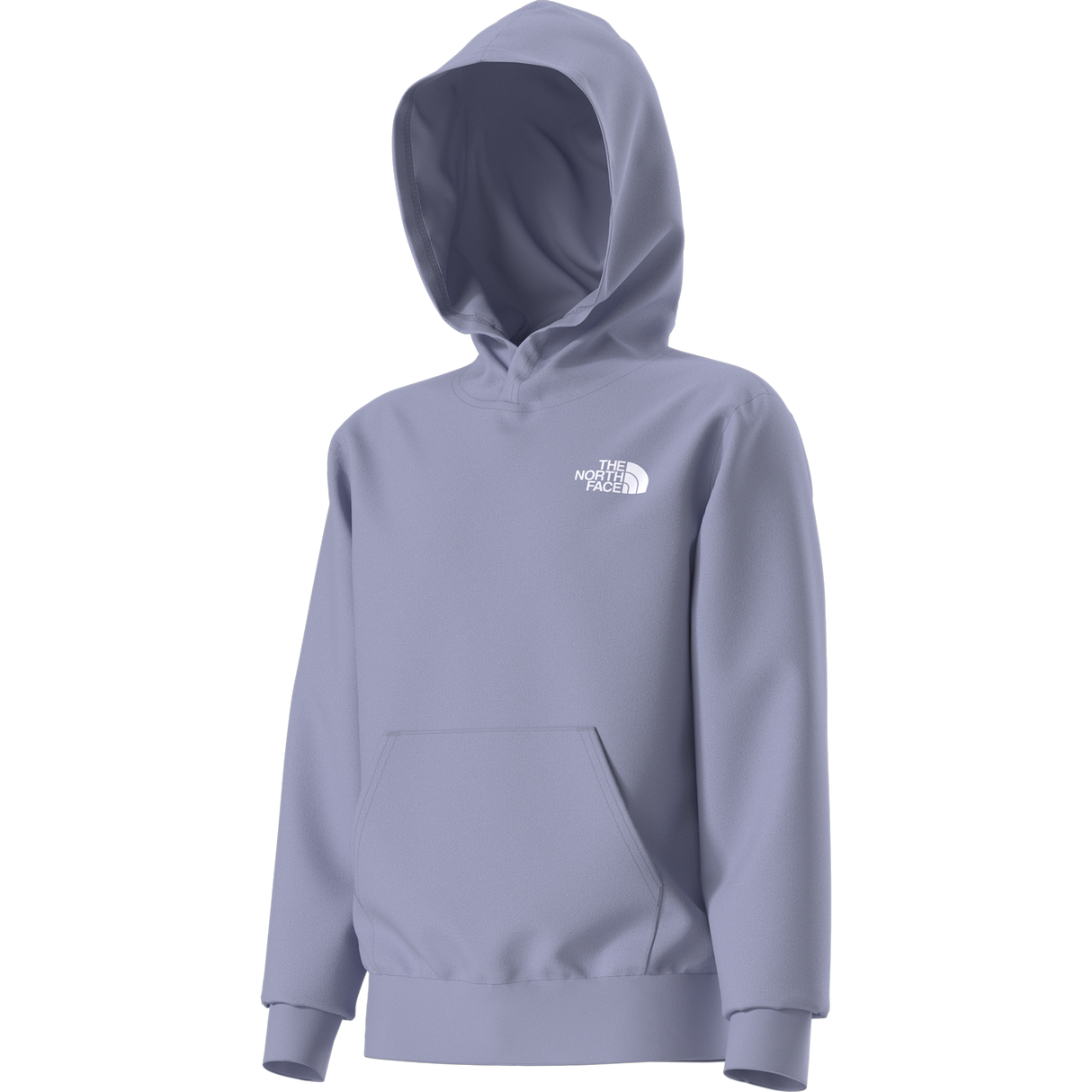 The North Face - Teen Evolution Box Nse Pullover Hoodie - Pale Plum - vista alternativa 12