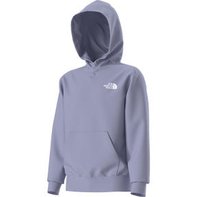 The North Face - Teen Evolution Box Nse Pullover Hoodie - Pale Plum - vista alternativa 12
