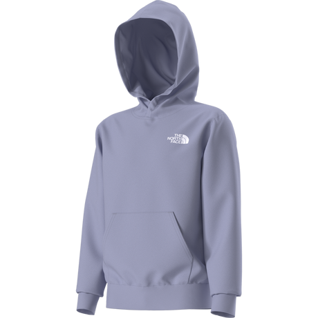 The North Face - Teen Evolution Box Nse Pullover Hoodie - Purple - vista alternativa 12