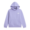 The North Face - Teen Evolution Box Nse Pullover Hoodie - Purple - vista principale