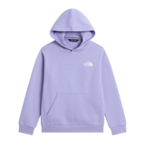 The North Face - Teen Evolution Box Nse Pullover Hoodie - Pale Plum - vista principale